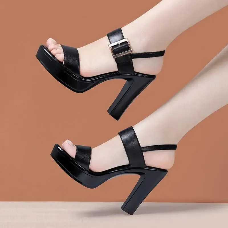 Funki Buys | Shoes | Women's High Chunky Platform Sandals