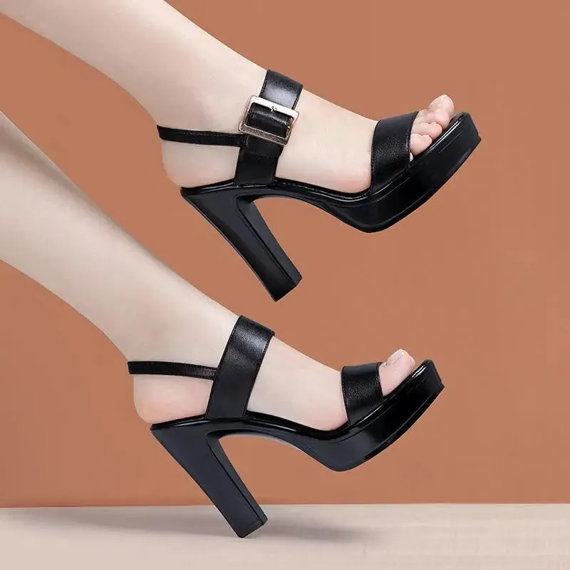 Funki Buys | Shoes | Women's High Chunky Platform Sandals