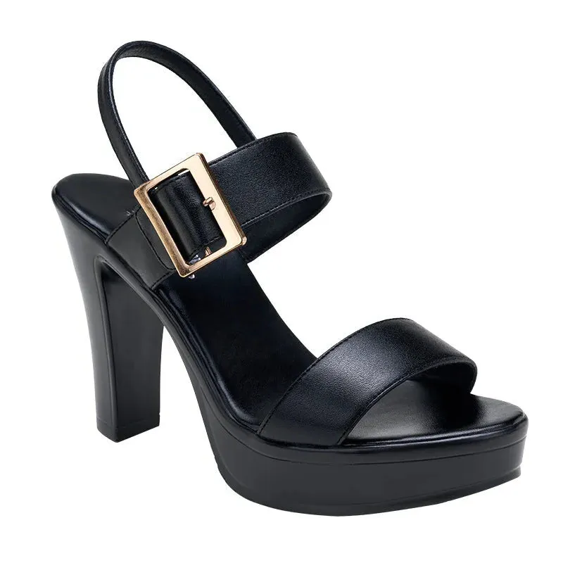 Funki Buys | Shoes | Women's High Chunky Platform Sandals