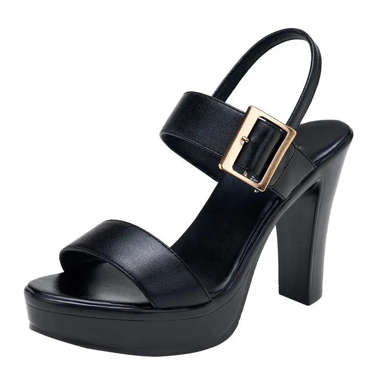 Funki Buys | Shoes | Women's High Chunky Platform Sandals