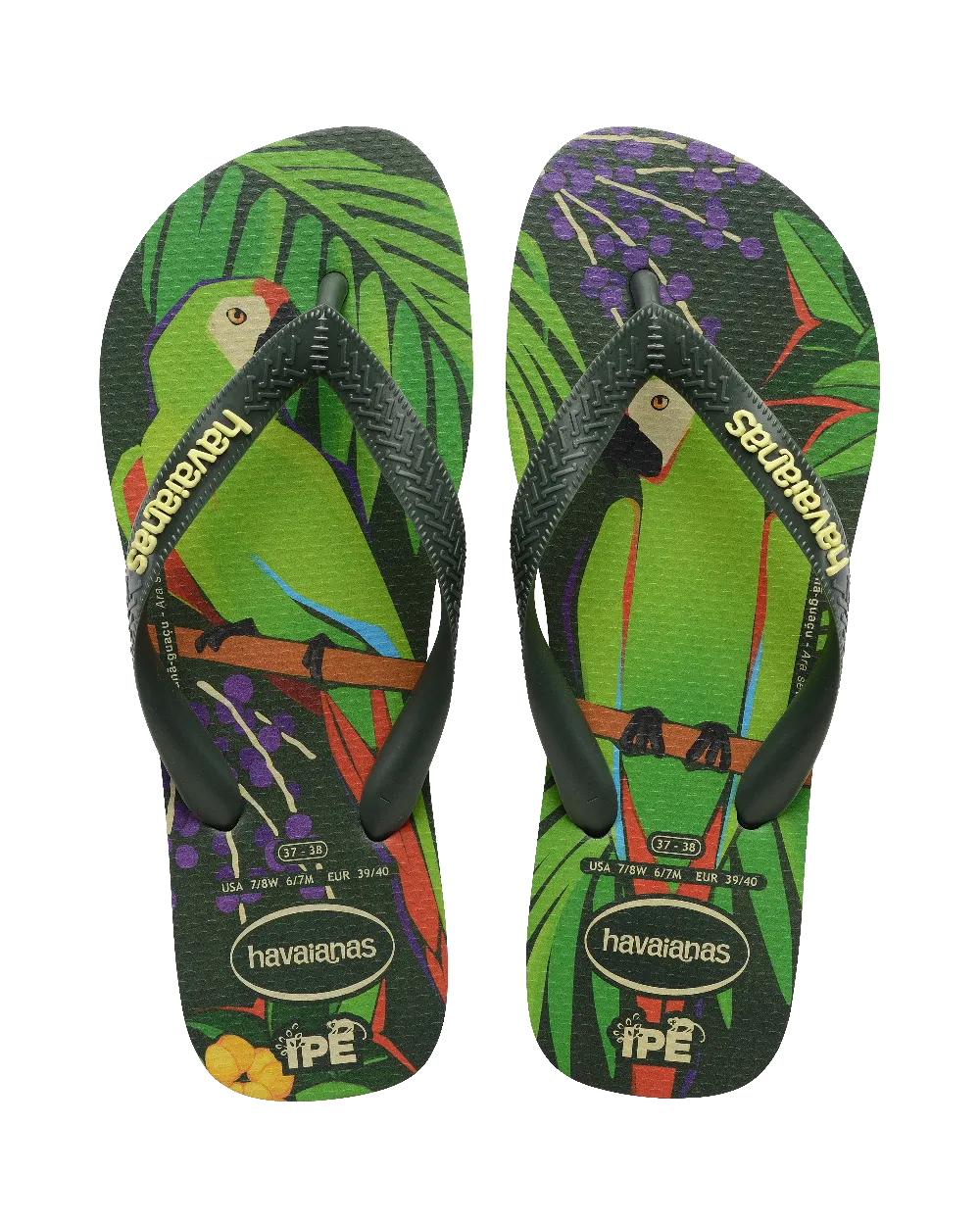 Ipe Flip Flops in Green & Green