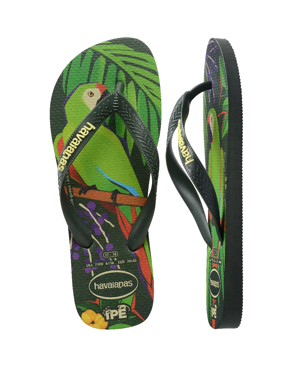 Ipe Flip Flops in Green & Green