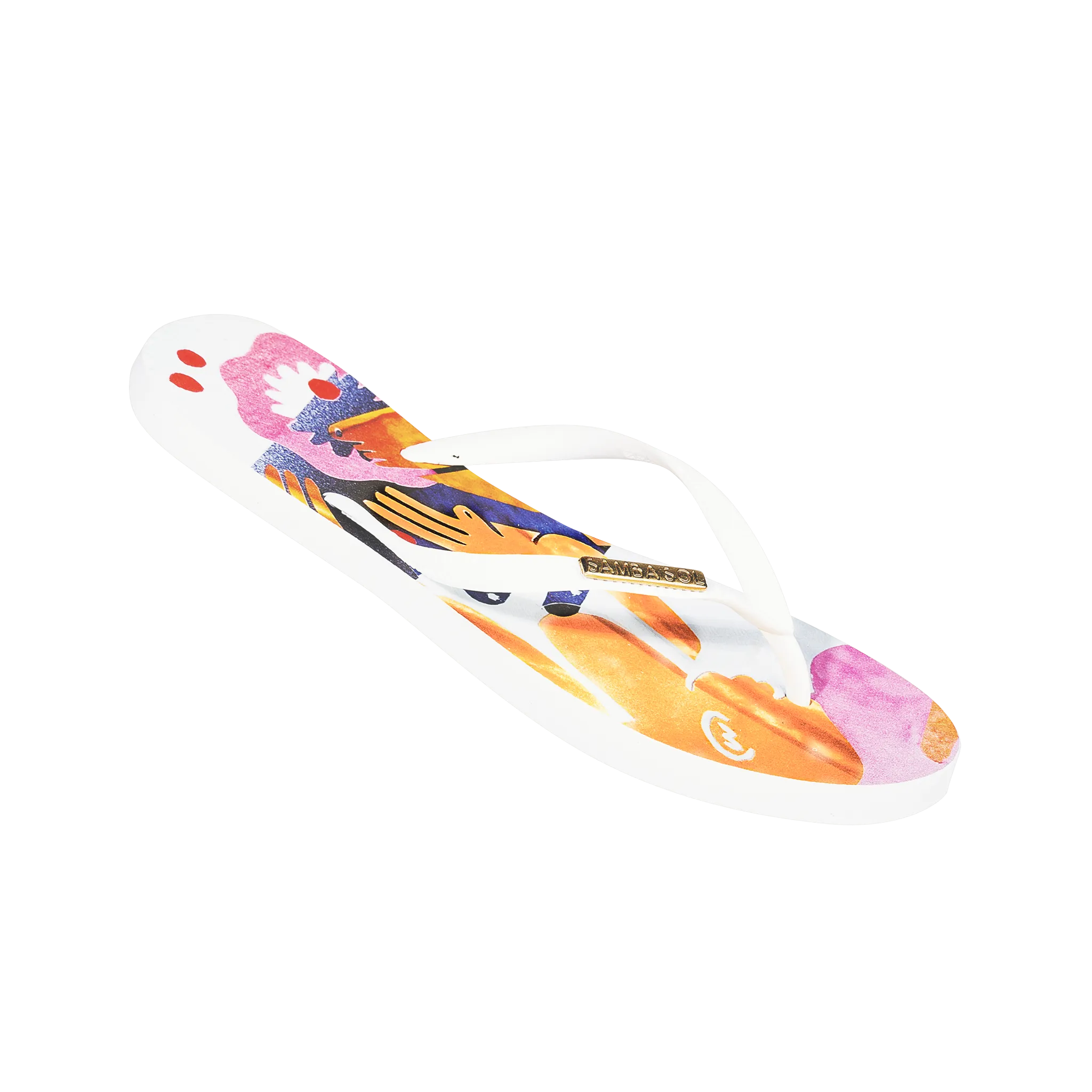 Samba Sol Men's YoungArts Collection Flip Flops - Nadia Wolff